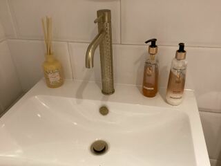 Chrome or brushed brass fixtures in downstairs bathroom?