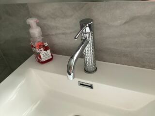 Chrome or brushed brass fixtures in downstairs bathroom?