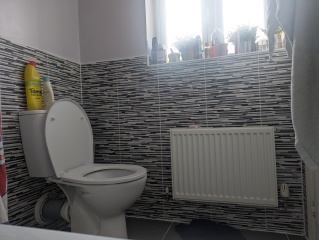 Help me with this ugly bathroom! Pics attached