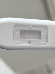 Pregnancy