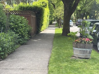 Come and tell us your dull and unexciting news 33: Calmly through the day