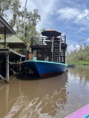 Tell me about your Borneo trips
