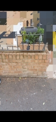 My garden again... planters