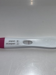 Ivf 5d5dt