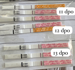 Line progression help pleasee!!