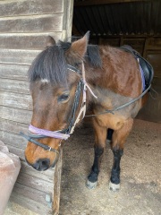 Cancer Support Thread 96: It’s nearly Christmas - get the sprouts on.