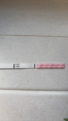 Unsure of DPO but BFP?