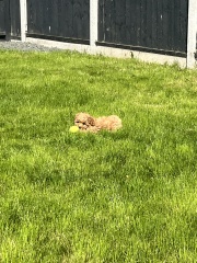 Bonnie is home!
