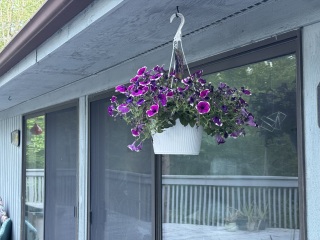 Come and tell us your dull and unexciting news 33: Calmly through the day