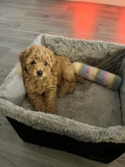 Bonnie is home!