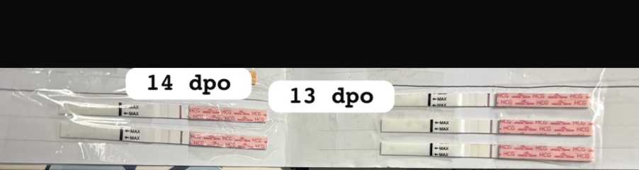 14 dpo/ 4 weeks worried about line progression