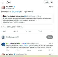 Boy George has said that JKR is responsible for 'A couple of homophobes beating up a lesbian'