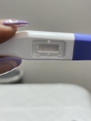 Pregnancy
