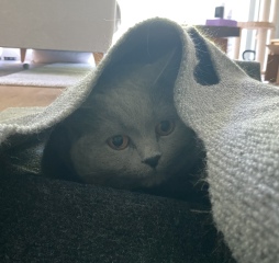 Thread 17 - TalkLair: "Okay, first of all, what's with the outfit? Live in the now, okay? You look like DeBarge."