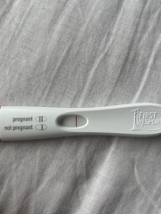 Ivf 5d5dt