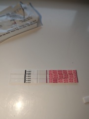 Are these indent lines?