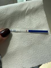 Vfp before bed last night. But 2 negatives this morning? So confused