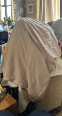 Come and tell us your dull and unexciting news 33: Calmly through the day