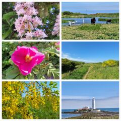 Year round Nigel Slater discussion thread Part 2