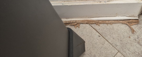 Damp damaging scotia