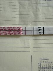 Ttc tww may 2025 after chemical