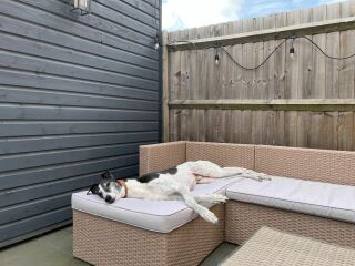 URGENT - DOG ATTACKED PARTNER **Please read OP's latest updates**  [edited by MNHQ]