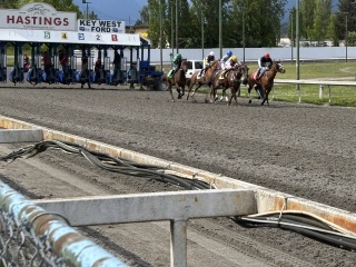 Come and tell us your dull and unexciting news 33: Calmly through the day