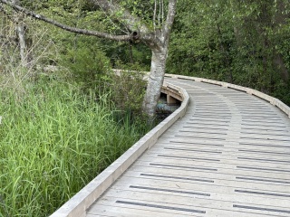 Daily Project round 7