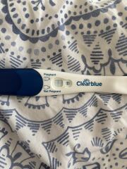 Due February 2026 ✨