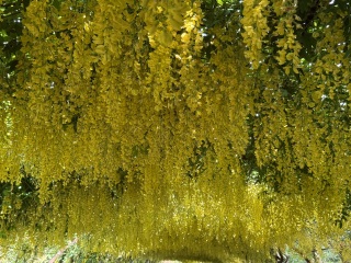 Year round Nigel Slater discussion thread Part 2