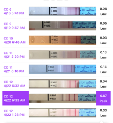 Second cycle of letrozole - high LH level at CD 5
