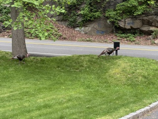 Come and tell us your dull and unexciting news 33: Calmly through the day