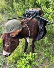 Ukraine Invasion: Part 56