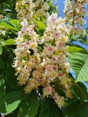 Year round Nigel Slater discussion thread Part 2