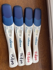 Due January 2026 ✨