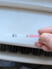 May 2025 TTC Support Thread #2!