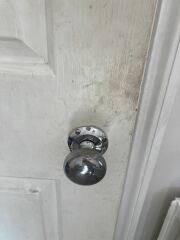 Help - need durable white door paint that will last the distance for 13 new internal doors