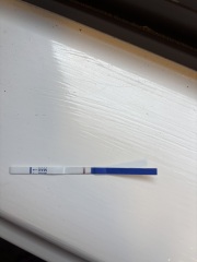 May 2025 TTC Support Thread #2!