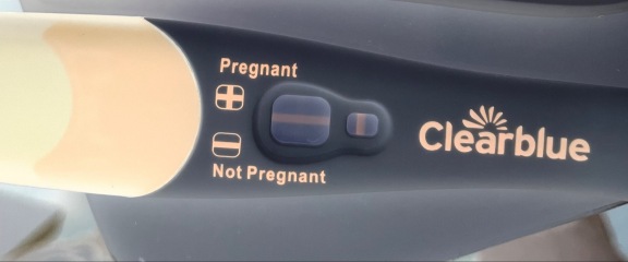 Heavier, larger and sore boob- potentially pregnant?