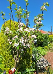 The Year Round Nigel Slater Discussion thread