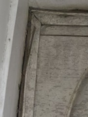 Damp damaging scotia