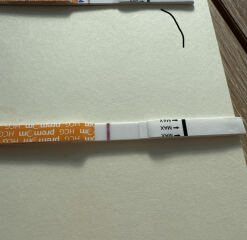 May 2025 TTC Support Thread #2!