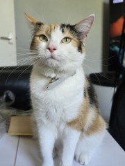 Daily Project round 7