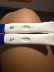HELP 20dpo TEST LIGHTER
