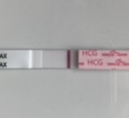 May 2025 TTC Support Thread #2!