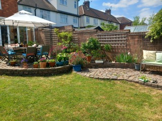Plants for pots in South facing garden