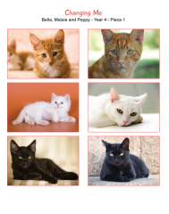 Any experience of Jigsaw PSHE curriculum please?