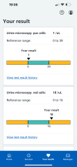 Blood in urine
