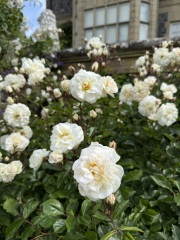 Year round Nigel Slater discussion thread Part 2