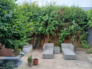 Design ideas needed!